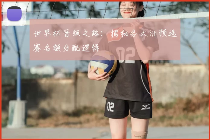 世界杯晋级之路：揭秘各大洲预选赛名额分配逻辑