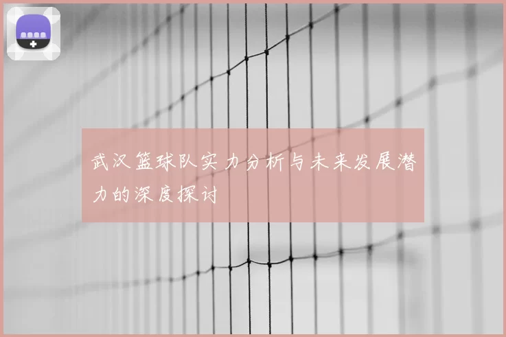 武汉篮球队实力分析与未来发展潜力的深度探讨