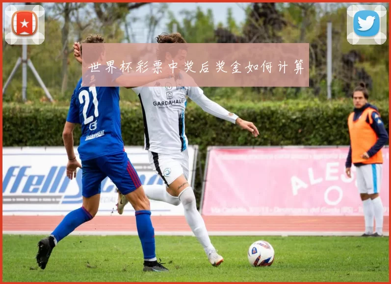 世界杯彩票中奖后奖金如何计算