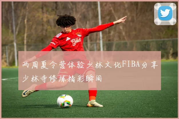 两周夏令营体验少林文化FIBA分享少林寺修炼精彩瞬间