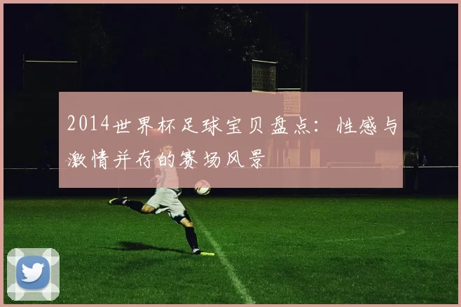 2014世界杯足球宝贝盘点：性感与激情并存的赛场风景
