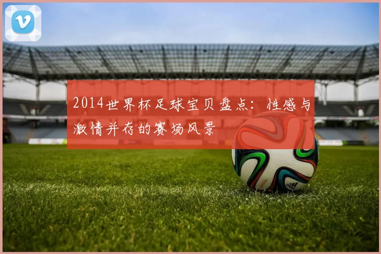 2014世界杯足球宝贝盘点：性感与激情并存的赛场风景