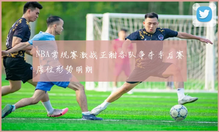 NBA常规赛激战正酣各队争夺季后赛席位形势明朗