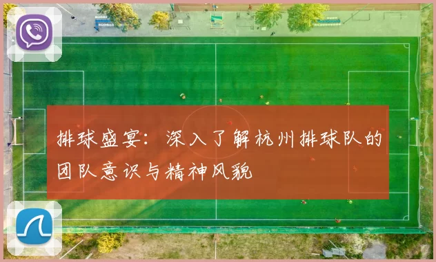 排球盛宴:深入了解杭州排球队的团队意识与精神风貌