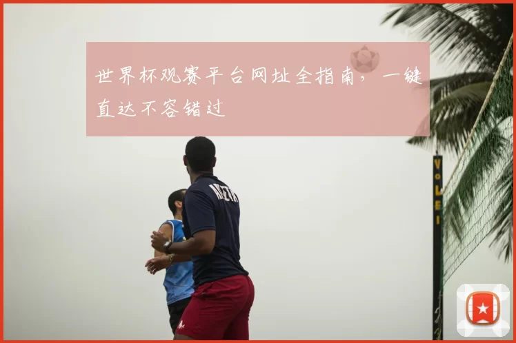 世界杯观赛平台网址全指南，一键直达不容错过