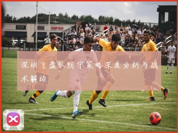 深圳飞盘队防守策略深度分析与战术解读