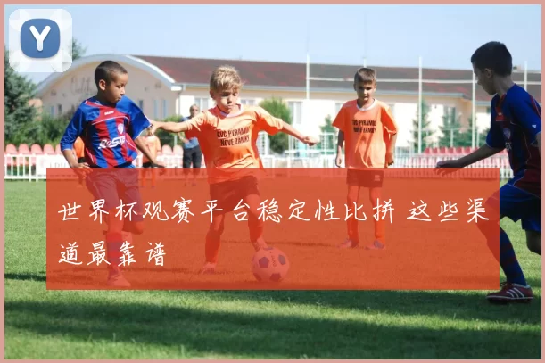 世界杯观赛平台稳定性比拼 这些渠道最靠谱