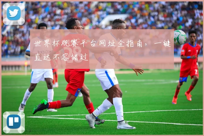 世界杯观赛平台网址全指南，一键直达不容错过